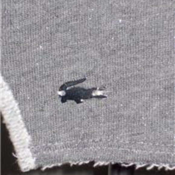 LACOSTE MISSES SIZE 6 / 38 FASHION SHORTS NAVY BLUE IN COLOR PLEATED FRONT SLIT - Picture 10 of 10